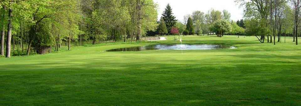 The Golf Course at Branch River