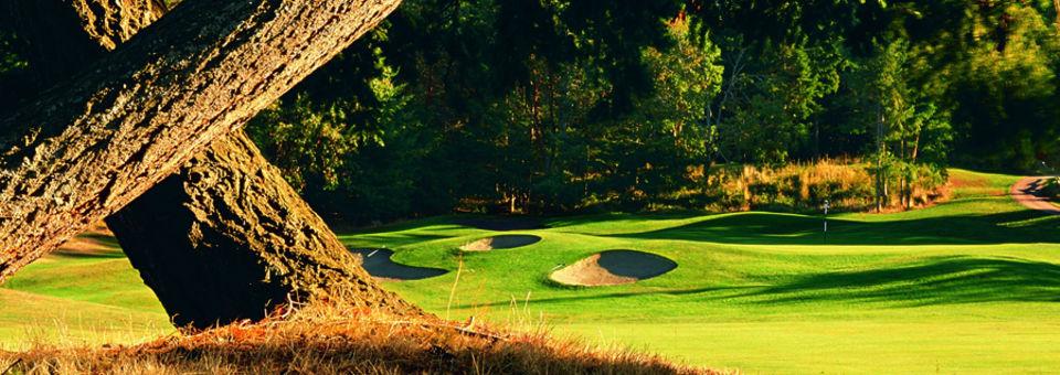 Fairwinds Golf Club