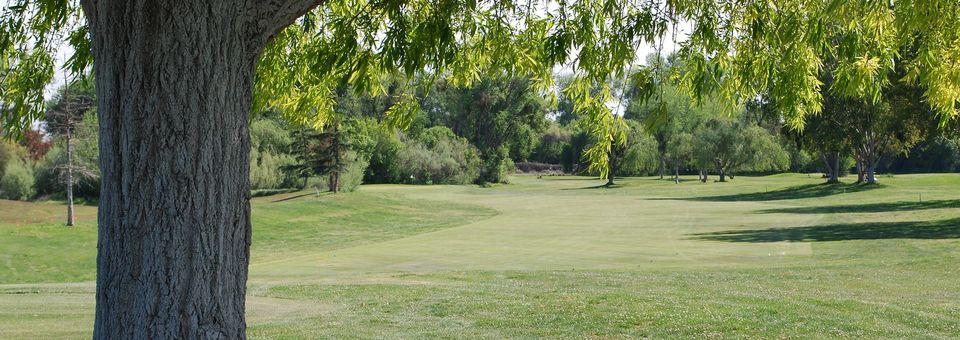 Enjoy No Fees At Jack Tone Golf - Ripon CA | TeeOff