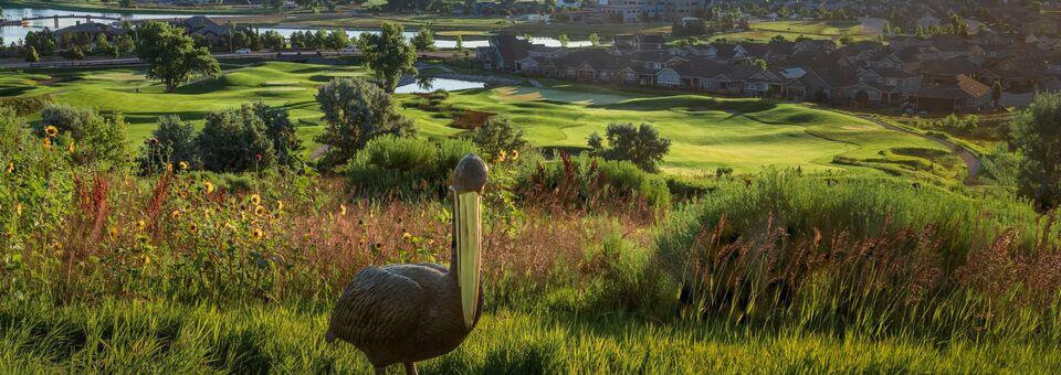Pelican Lakes Golf Club - Pelican Falls Course