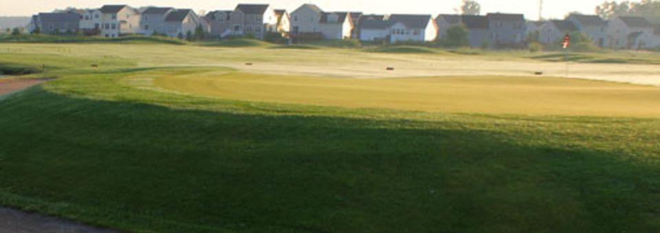 The Falcon Golf Course