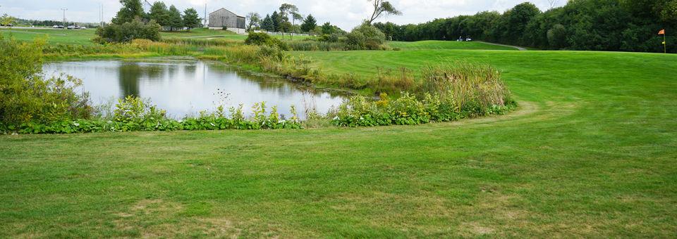 Bloomington Downs Golf Club