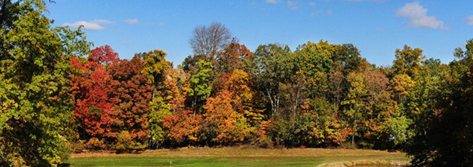 Warren Brook Golf Course