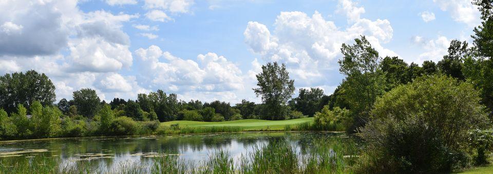 Willow Wood Golf Club