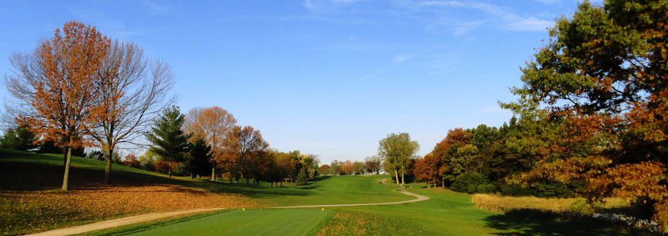 Brighton Dale Links White Birch