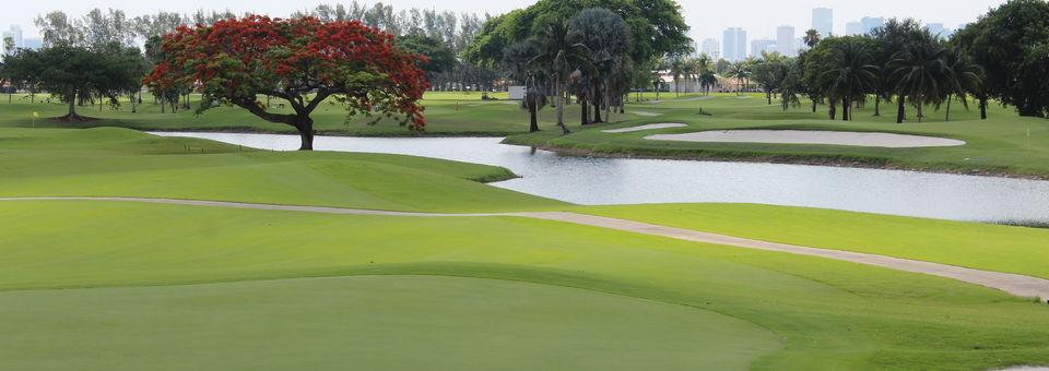 Melreese Golf Course/International Links Miami