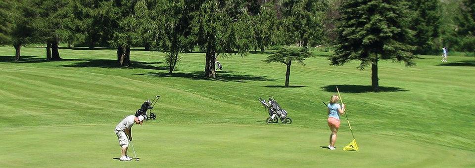 Vernonia Golf Club