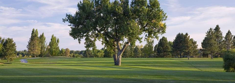 Hyland Hills Golf - Blue Course