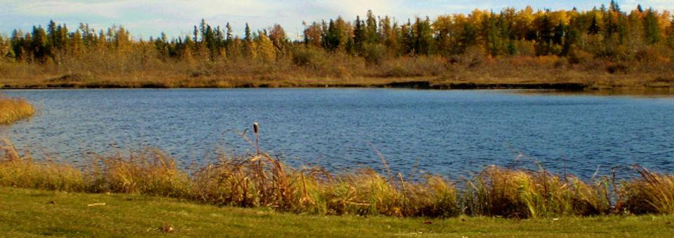 Edmonton Springs Golf Resort
