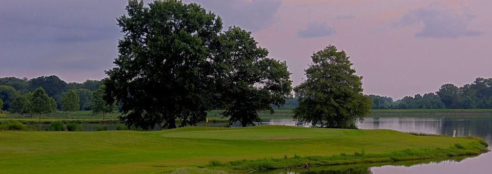 Orgill Golf Course Details and Reviews TeeOff