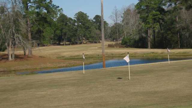 Pineland