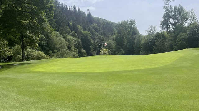 Woodenbridge