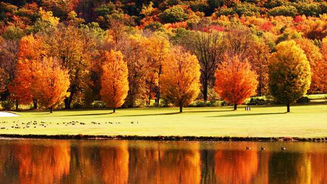 Fallsview