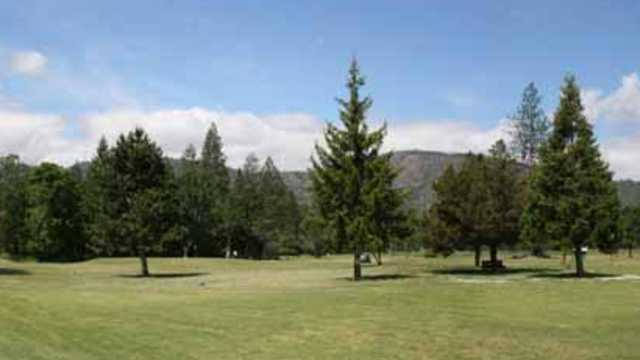 Laurel Pines 1