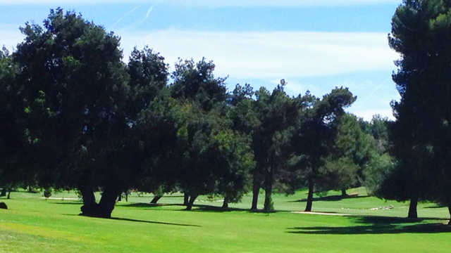 Calimesa Country Club