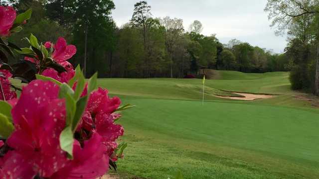 Dancing Rabbit Golf Club - Azalea Course Tee Times - Philadelphia MS
