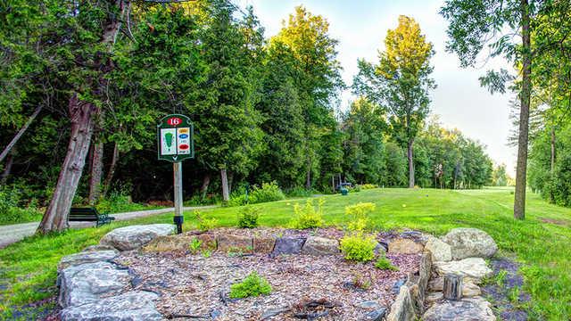 Falcon Ridge 