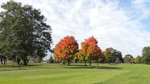 Green Oaks