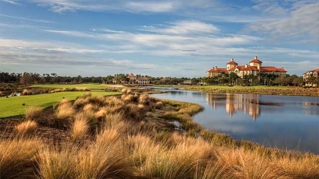 Tiburon Golf Club - Gold Course