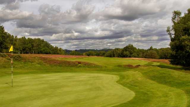 Royal Ashdown Forest Golf Club