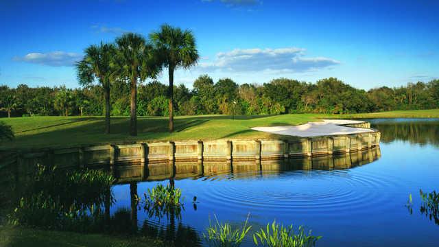 Plantation Golf & Country Club - Panther