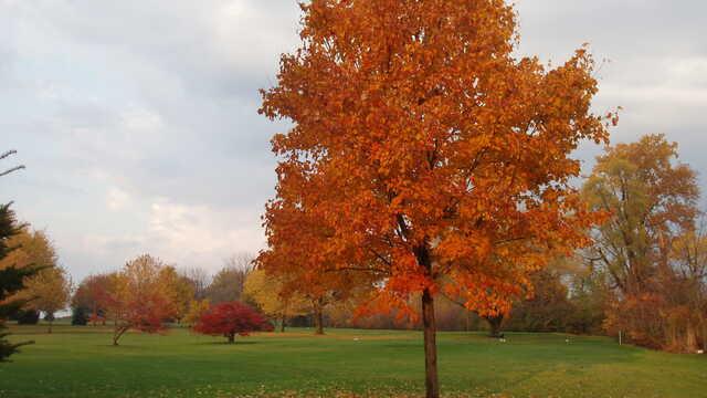Oxley Beach Golf Course - Par 3