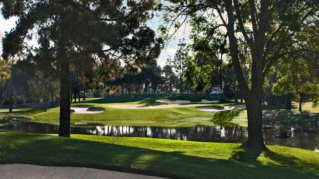 Tee Times