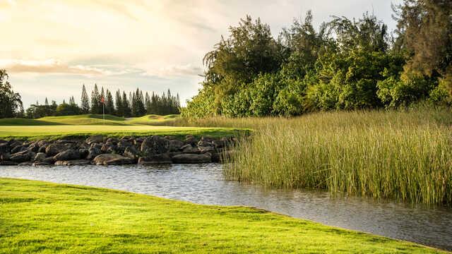 Course photo for Turtle Bay Palmer Course
