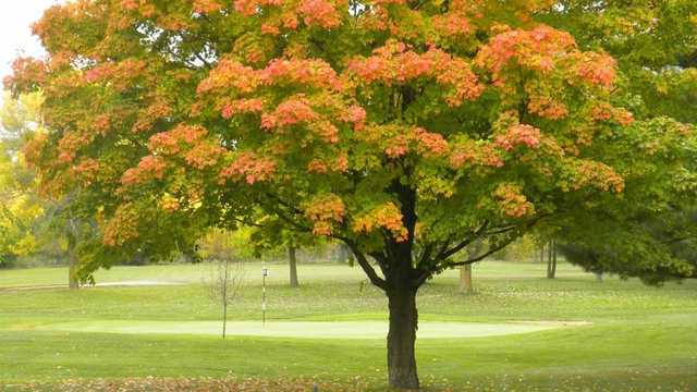 Maplecrest Country Club