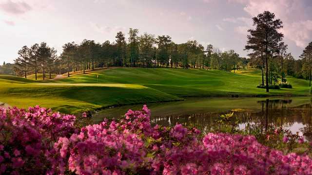 The Robert Trent Jones Golf Trail at Ross Bridge