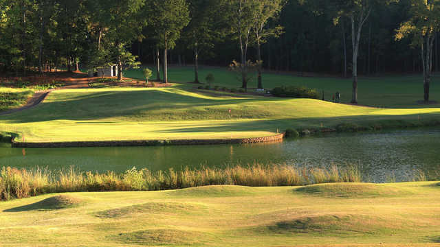 University of Georgia