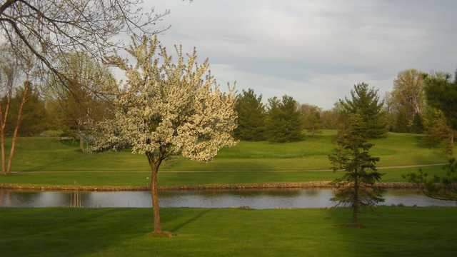 Raccoon Hill