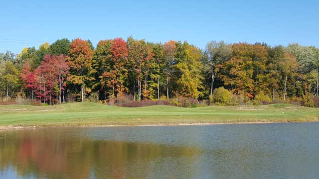 Oak Ridge - Marsh Oaks