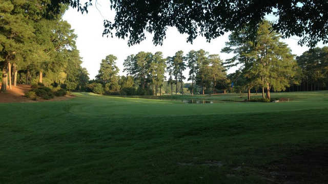 GREENWOOD GOLF&COUNTRY CLUB / SARNIA 千鳥柄 Greenwood Golf Club GREENWOOD GOLF&COUNTRY CLUB / SARNIA 千鳥柄