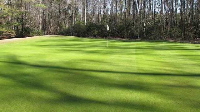 Dogwood Hills