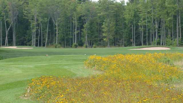 Wild Bluff Golf Course