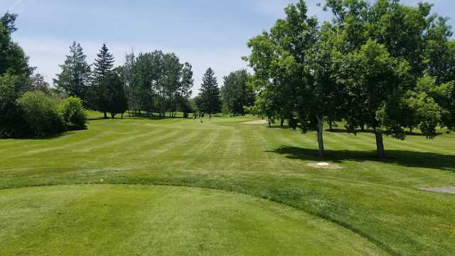 Thunderbird Golf