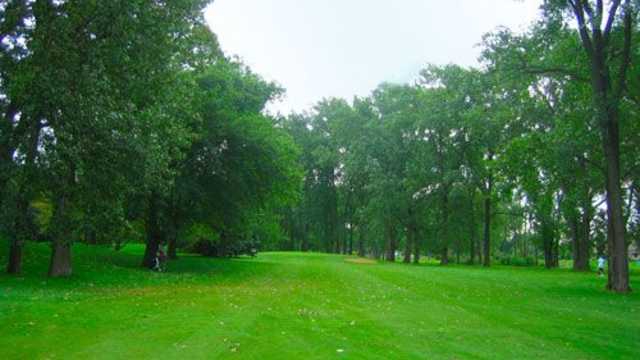 Scherwood Executive 9 Short Course