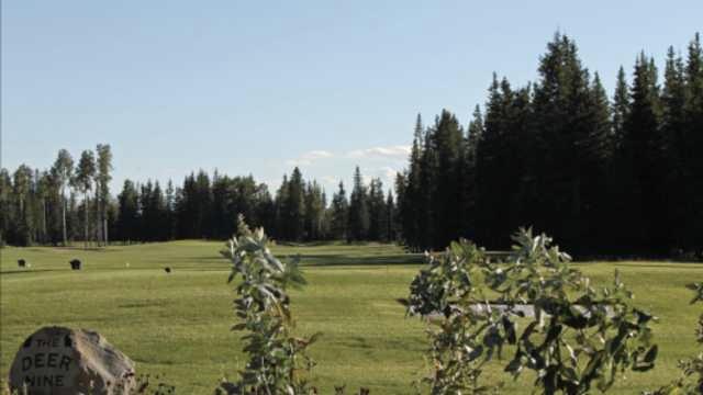 Coyote Creek Golf & RV Resort
