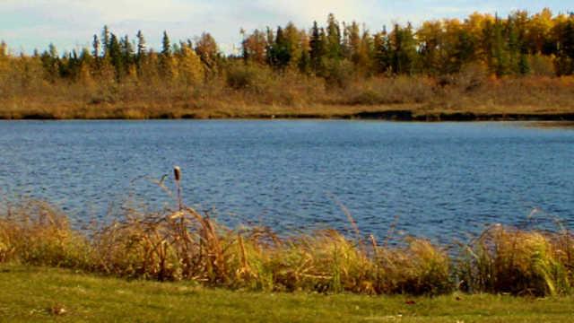 Edmonton Springs Golf Resort