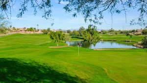Coyote Lakes Golf Club Tee Times - Surprise AZ